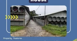 DIJUAL KANDANG AYAM TEHNOLOGI GERMAN+ CLOSED HOUSE